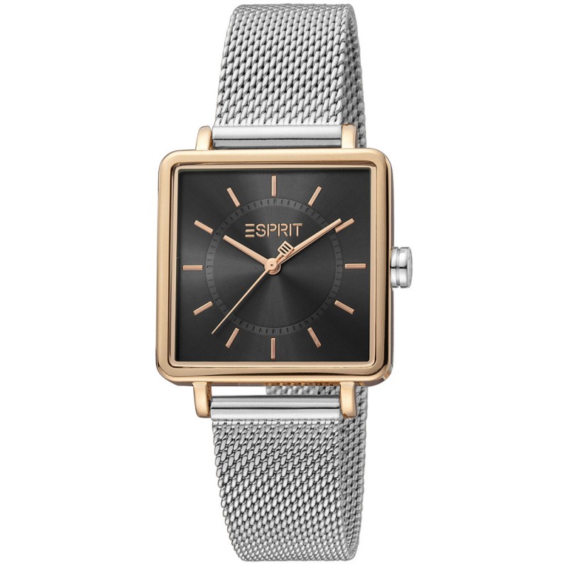 Esprit Ladies Watch ES1L323M0095
