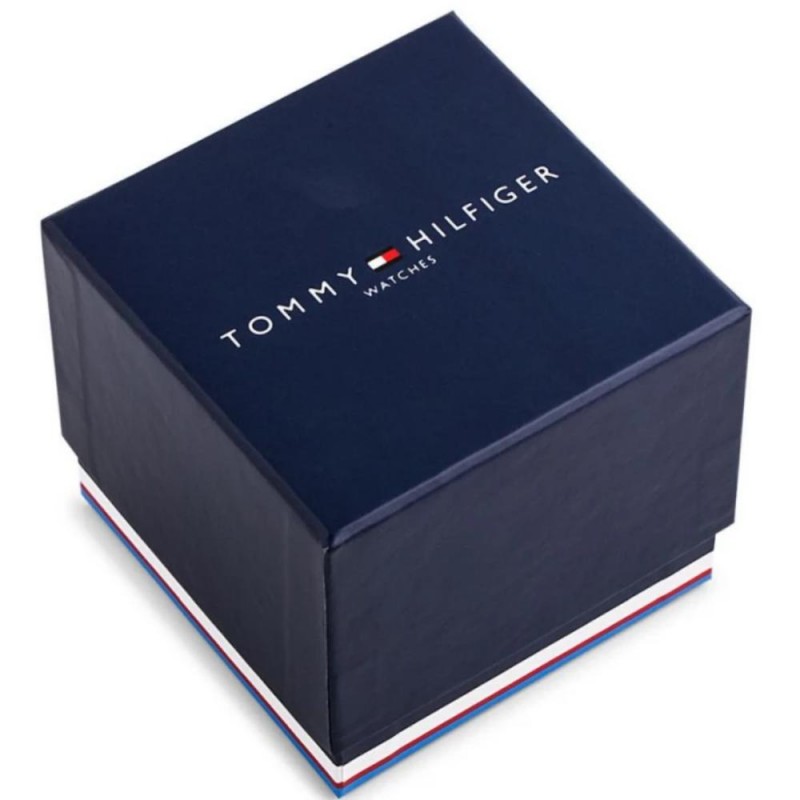 Tommy Hilfiger Daniel Mens Watch Multifunctional 1710383